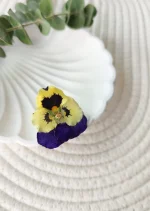 گل سینه گل بنفشه طبیعی مدل ساتیا