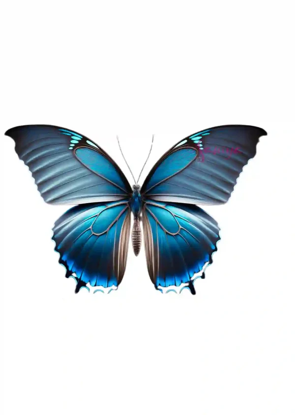 پروانه آبی طرح 10