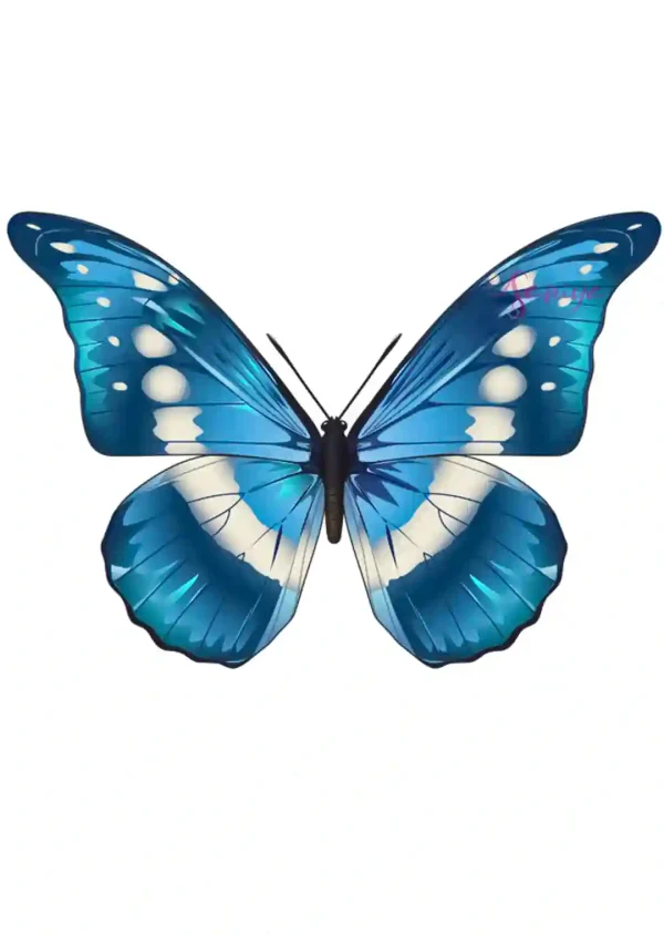 پروانه آبی و سفید طرح 13