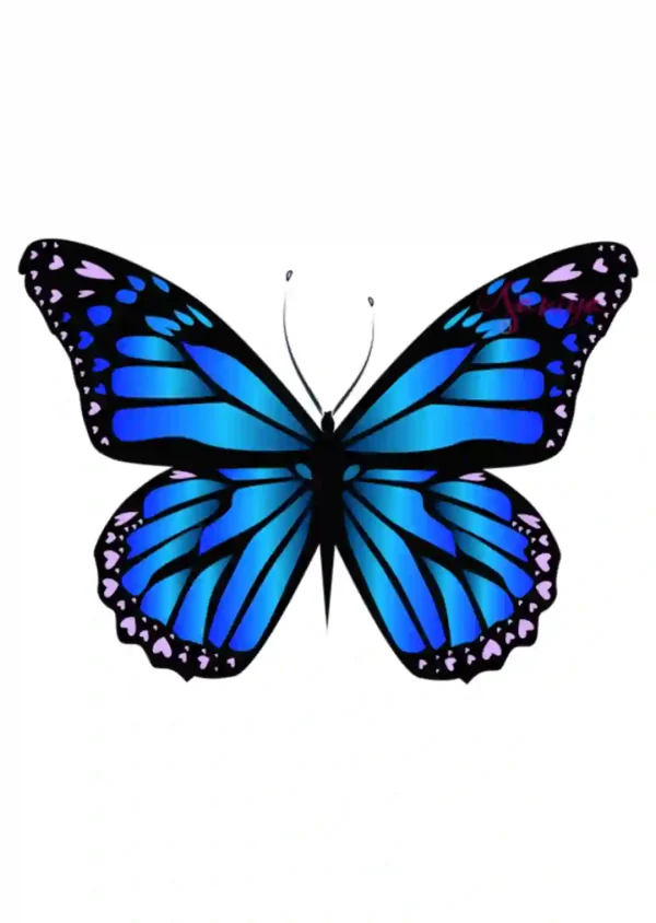 پروانه آبی طرح 14