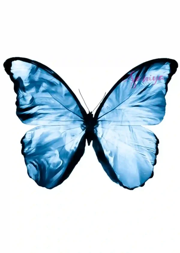 پروانه آبی و سفید طرح 16