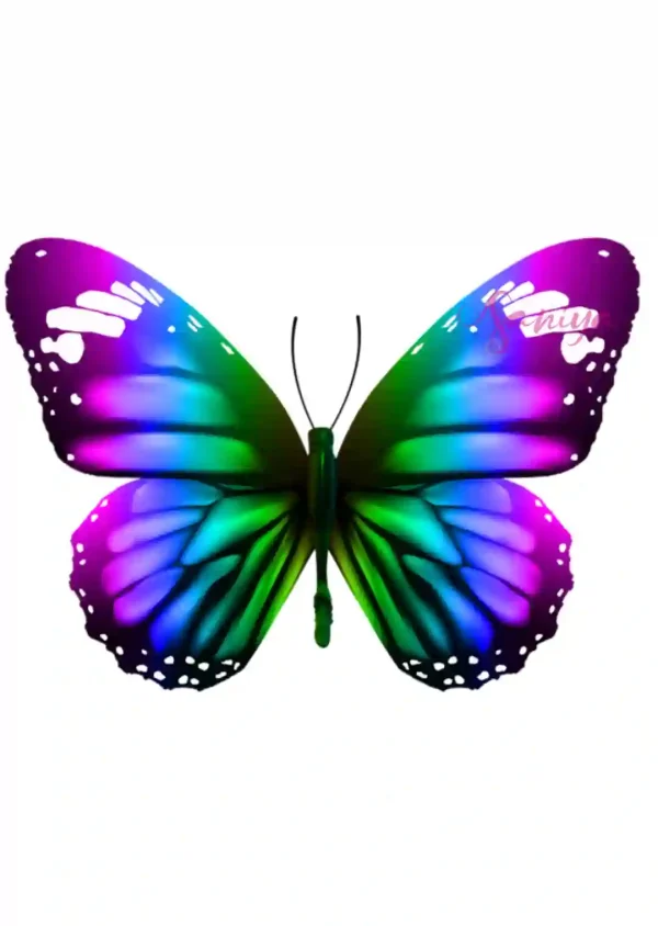 پروانه بنفش و آبی طرح 34