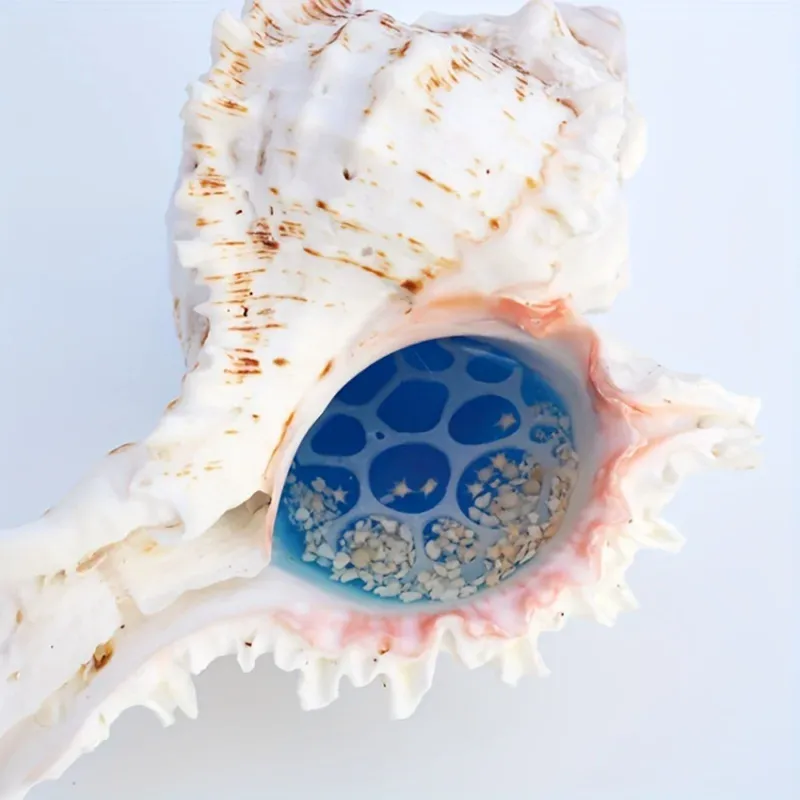 استفاده از قالب موج برای تزیین دریای داخل صدف